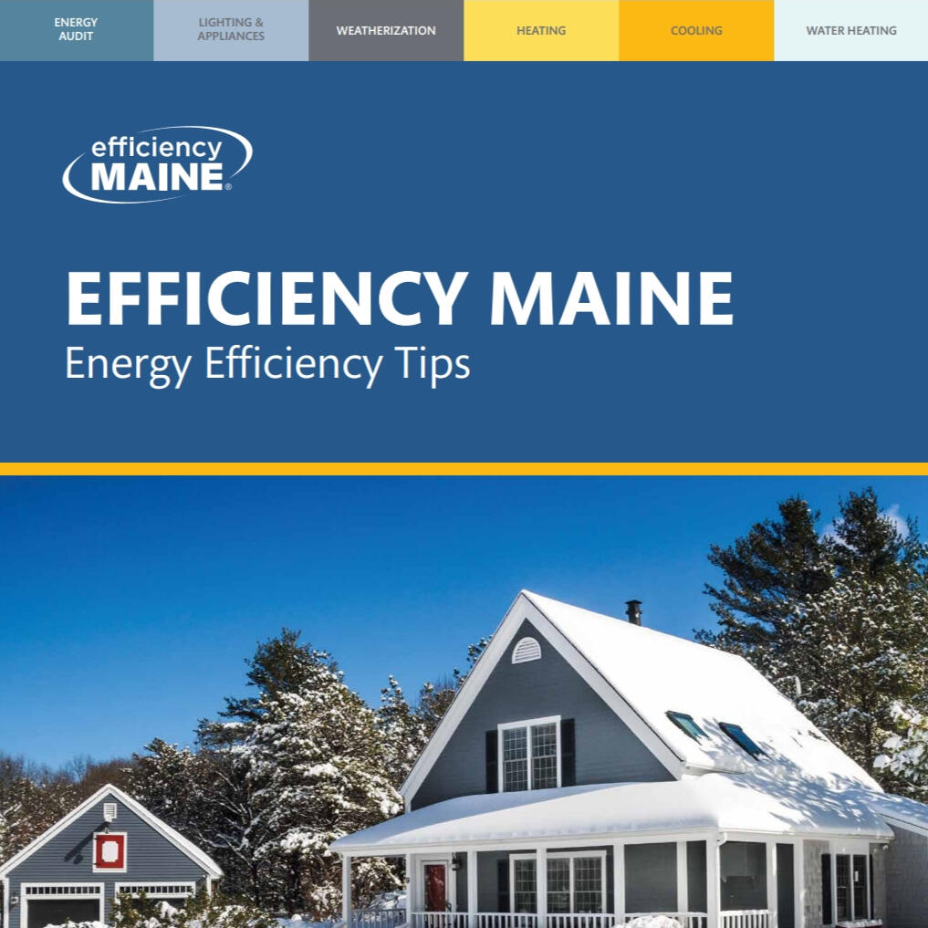 Energy Efficiency Guide - Statewide Distribution